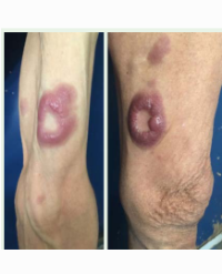 Article Image 1