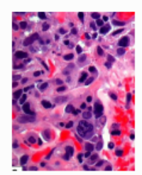 Article Image 1