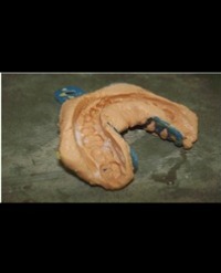 Article Image 1