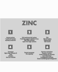 Article Image 1