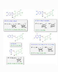 Article Image 1