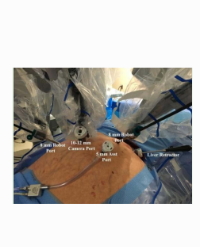 Article Image 1