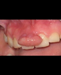 Article Image 1
