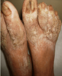 Article Image 1