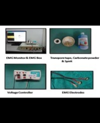 Article Image 1
