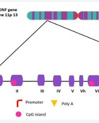Article Image 1