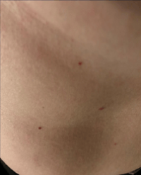 Article Image 1