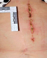 Article Image 1