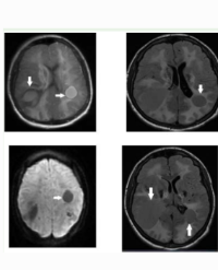 Article Image 1