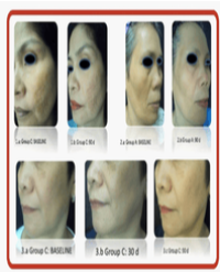 Article Image 1