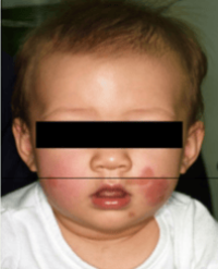 Article Image 1
