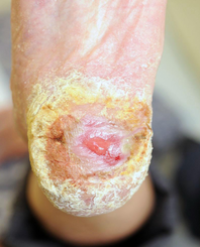 Article Image 1