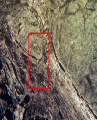 Article Image 1