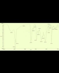 Article Image 1