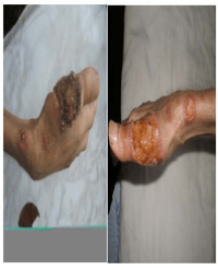 Article Image 1
