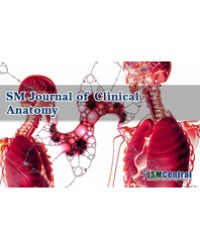 Article Image 1