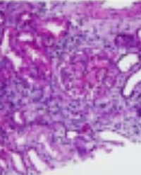 Article Image 1