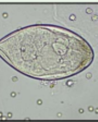 Article Image 1