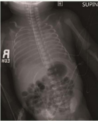 Article Image 1