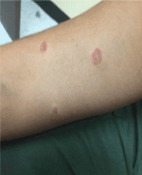 Article Image 1