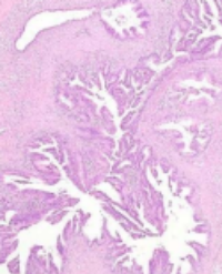 Article Image 1