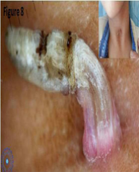 Article Image 1