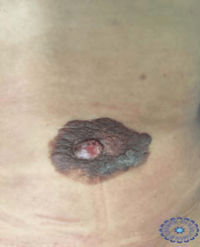 Article Image 1