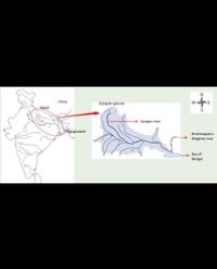 Article Image 1