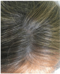 Article Image 1