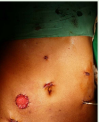 Article Image 1
