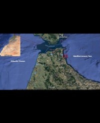 Article Image 1