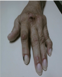 Article Image 1