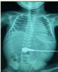 Article Image 1
