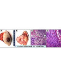 Article Image 1