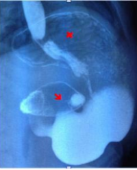 Article Image 1