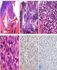 Article Image 1