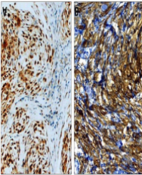 Article Image 1