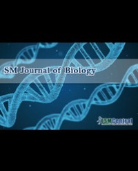 Article Image 1