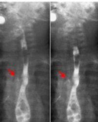 Article Image 1