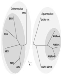 Article Image 1