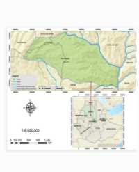 Article Image 1