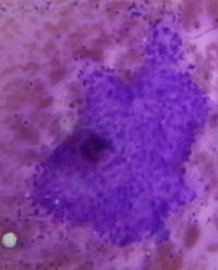 Article Image 1