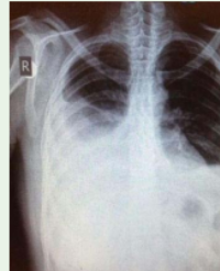 Article Image 1