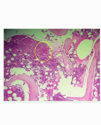 Article Image 1