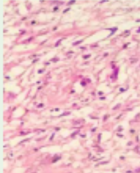 Article Image 1