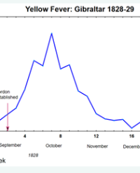 Article Image 1