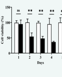 Article Image 1