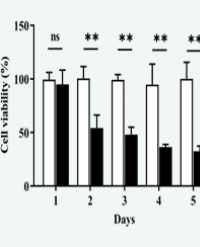 Article Image 1