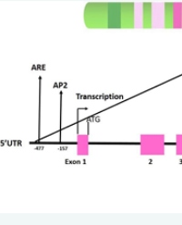 Article Image 1