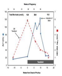 Article Image 1